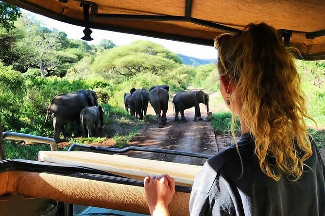 8-Day Tanzania Private Safari Tour with Airport Pickup - Lake Manyara: Rift Valley Views and Birding That Actually Moves