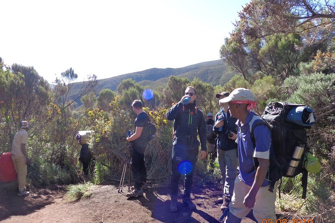 8 Days 7 Nights Kilimanjaro Lemosho Route - Why the Lemosho Route Works So Well on an 8-Day Climb
