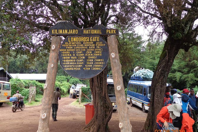 8 Days 7 Nights Kilimanjaro Lemosho Route - Day 4: Shira Toward Lava Tower, Then Down to Barranco Hut