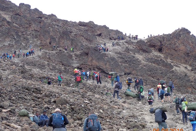 8 Days 7 Nights Kilimanjaro Lemosho Route - Day 6: Up to Barafu Hut for the Southern Circuit Payoff