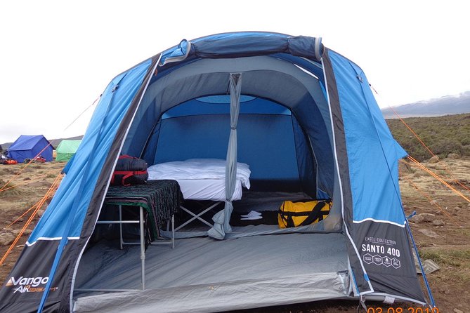 8 Days 7 Nights Kilimanjaro Lemosho Route - Descent Day (Day 8): Mweka Park Gate, Summit Certificates, Then Back to Moshi