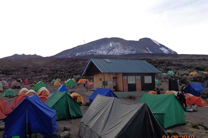 8 Days 7 Nights Kilimanjaro Lemosho Route - Moshi to Londorossi Gate: Your First Day Is Mostly Getting Set Up