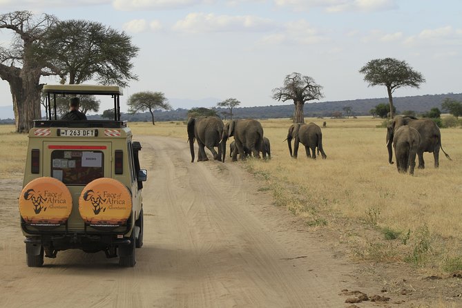 8 Days 7 Nights Private Lodge Safari - Key highlights you will actually feel on the trip