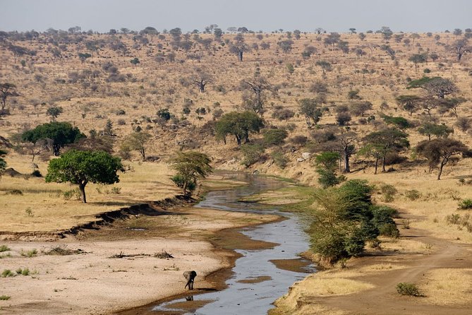 8 Days 7 Nights Tanzania Wildlife & Culture Lodge Safari - A Full-Day Serengeti Drive: Hippo Pools and Picnic Lunch Time