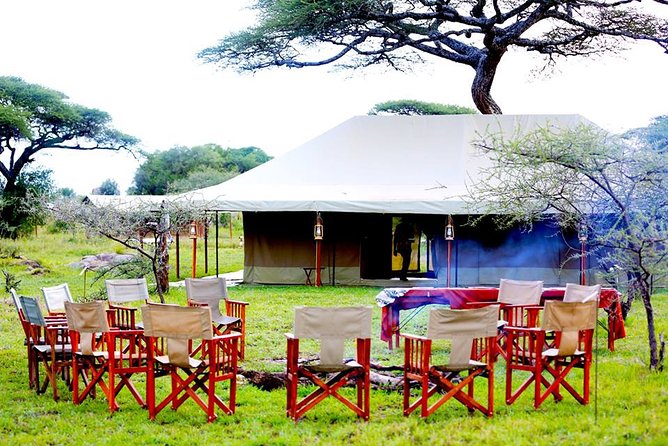 8 Days 7 Nights Tanzania Wildlife & Culture Lodge Safari - Serengeti to Ngorongoro Rim: The Night at Rhino Lodge
