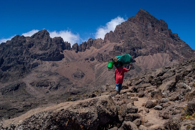 8 Days Climbing Mt.Kilimanjaro (Lemosho Route) - Tickets, transfers, and small-group logistics that affect comfort