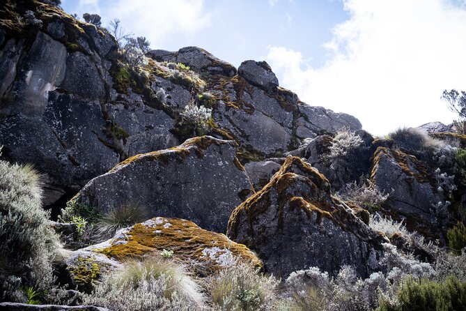 8 Days Climbing Mt.Kilimanjaro (Lemosho Route) - So who is this trek for, really?