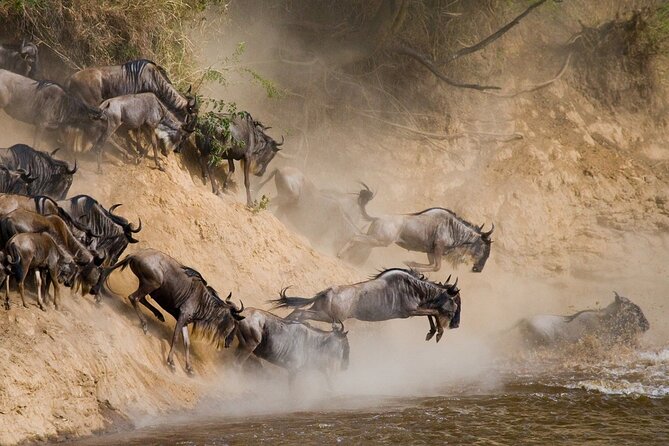 8 Days Follow the Wildebeest Migration River Crossing Safari - The calving-season migration focus that shapes the whole trip