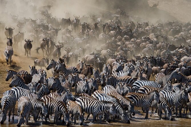 8 Days Follow the Wildebeest Migration River Crossing Safari - Serengeti on the endless plain: resident Big Five energy