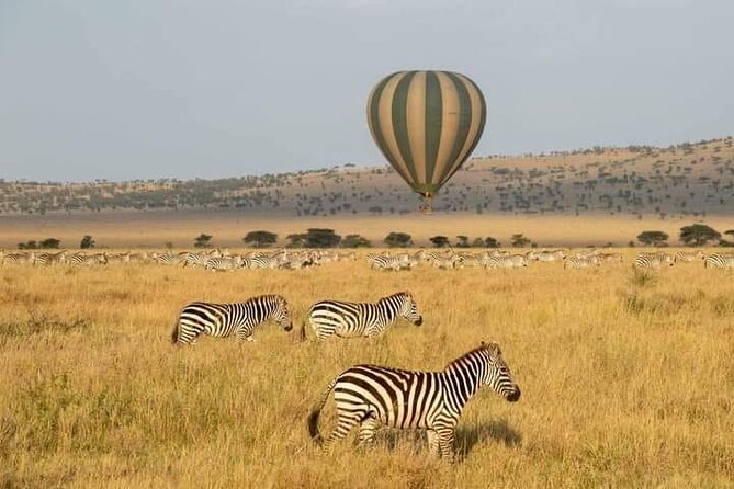 8 Days Follow the Wildebeest Migration River Crossing Safari - Arusha arrival transfer: quick start, then you settle in