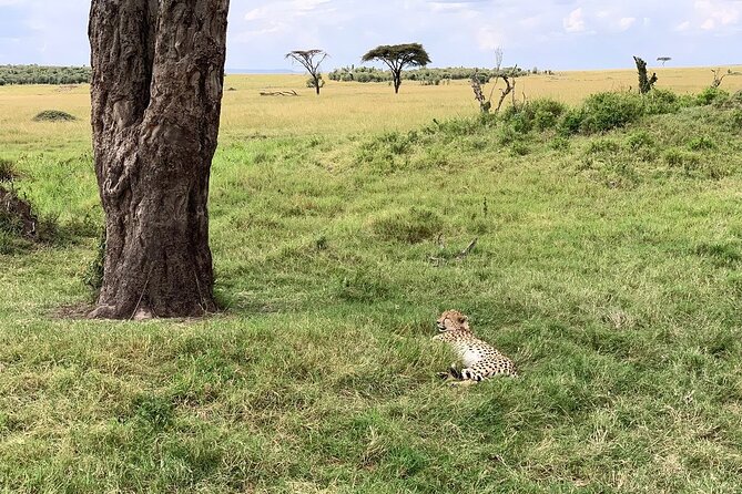 8 Days Great Wildebeest Calving Migration Safari from Arusha - Lake Manyara’s compact circuit and why it feels special
