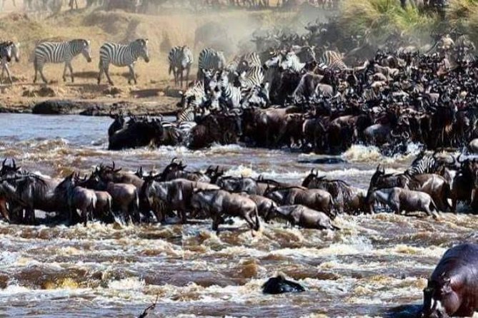 8 Days Great Wildebeest Migration - Mara River Crossing - Arriving in Arusha, Then Warming Up for Safari