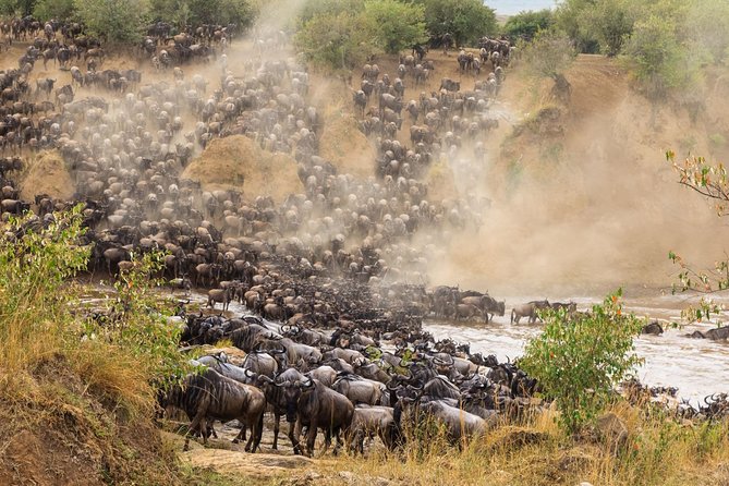 8 Days Great Wildebeest Migration - Mara River Crossing - Ngorongoro Crater: A Full Day of Dense Wildlife Possibilities