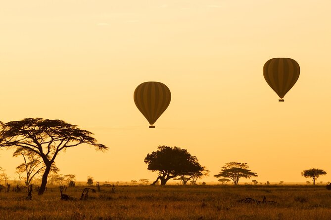 8 Days Green Season Offer - Luxury Serena Safari - Day 2 in Lake Manyara National Park: birds, floodplain energy, and lion luck