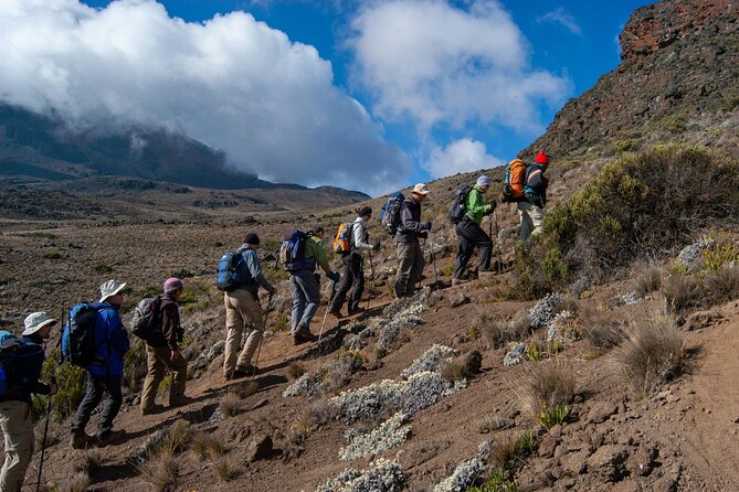 8 Days Guided Private Trekking in Mount Kilimanjaro - Key points before you commit