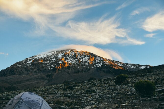8 Days Guided Private Trekking in Mount Kilimanjaro - Day 1: Londorossi Gate, rainforest start, and Mti Mkubwa camp comfort