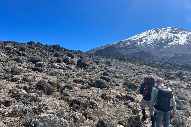 8 Days Kilimanjaro Climbing Lemosho Route - Day 1, forest mood: Londorossi gate to Forest Camp