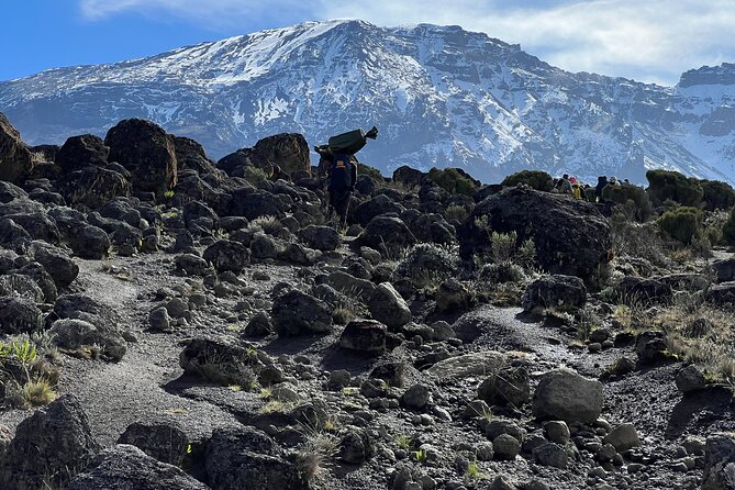 8 Days Kilimanjaro Climbing Lemosho Route - Getting to Moshi and the start at Londorossi gate