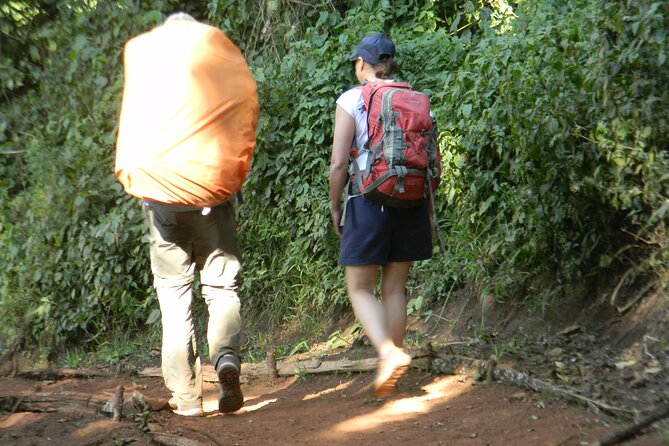 8 Days Kilimanjaro Climbing tour via the Lemosho Route - Day 3: Shira 2, Mount Meru spotting, and the Lava Tower acclimatization hike