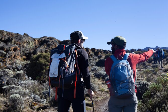 8 Days Kilimanjaro Climbing tour via the Lemosho Route - Day 5: Muro del Barranco early, Karanga Camp ups and downs, then Barafu acclimatization