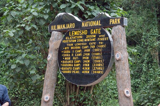8 Days Kilimanjaro Climbing tour via the Lemosho Route - Day 7: Summit night to Uhuru Peak, personal guidance, and the descent to Millennium Camp