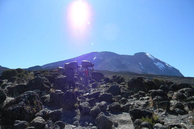 8 Days Kilimanjaro Climbing tour via the Lemosho Route - Day 1: Mti Mkubwa Camp and the rainforest lesson (you’ll want rain gear)