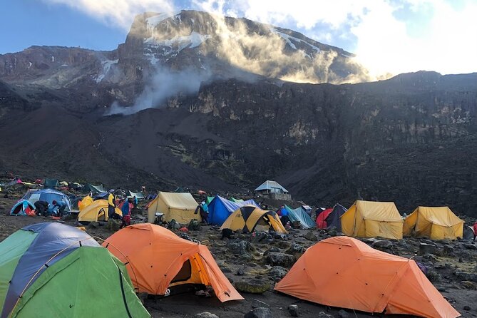 8 Days Kilimanjaro Hike via Lemosho Route - Day 1 to Day 3: rainforest start, Shira Plateau views, and acclimatization that actually happens