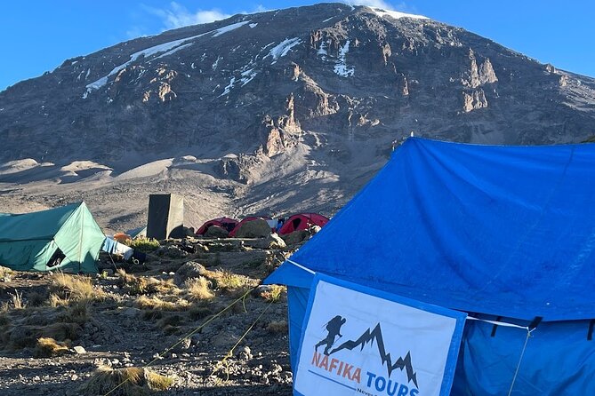 8 Days Kilimanjaro Hike via Lemosho Route - Day 8: the descent to Mweka Gate, certificates, and the feeling of air again