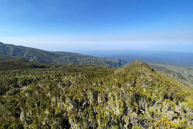 8 Days Lemosho Route - Day 7: The Night Climb, Stella Point, and Uhuru Peak