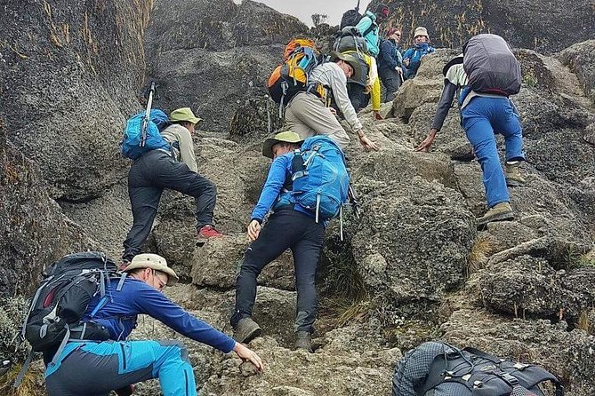 8 Days Lemosho Route Climbing - Mti Mkubwa Camp: your first real checkpoint