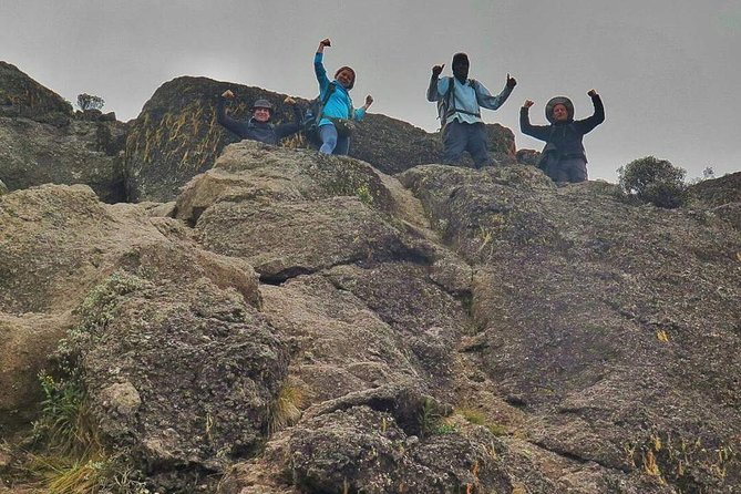 8 Days Lemosho Route Climbing - Summit day to Uhuru Peak: tough, then it flips fast