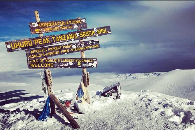 8 Days Lemosho Route Climbing - Private tour value: fewer unknowns, more attention