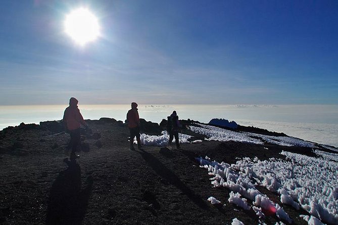 8 Days Lemosho Route Climbing - Price and what you’re actually buying for $2,713.47