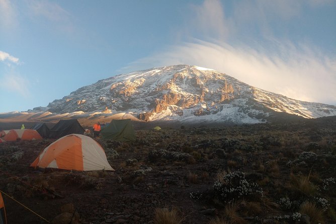 8 days Lemosho route Climbing Mt. Kilimanjaro - Day 8: Celebration at Mweka Gate, green vs gold certificates, and the final descent