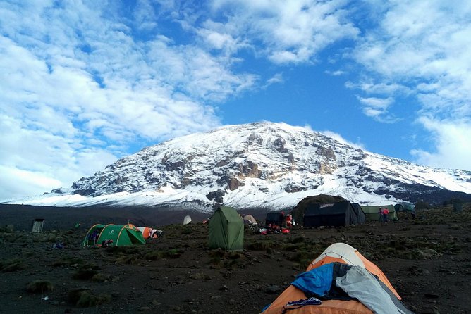 8 days Lemosho route Climbing Mt. Kilimanjaro - Day 1 to Day 2: Londorossi rain forest, then Shira Ridge views