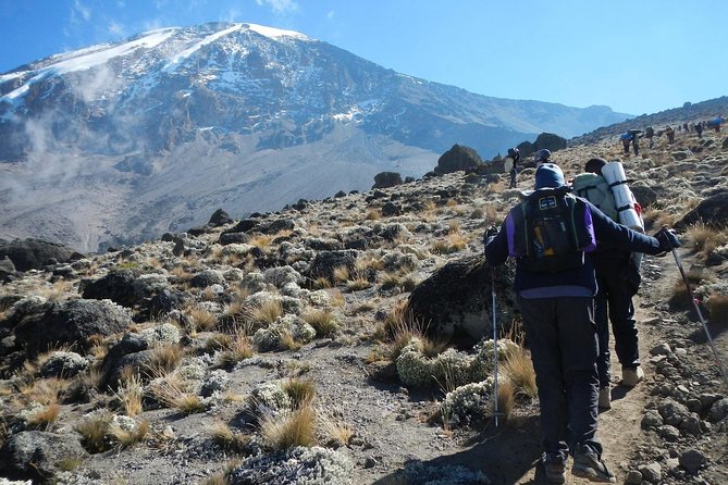 8 Days Lemosho Route Kilimanjaro Trekking - Key highlights you should care about