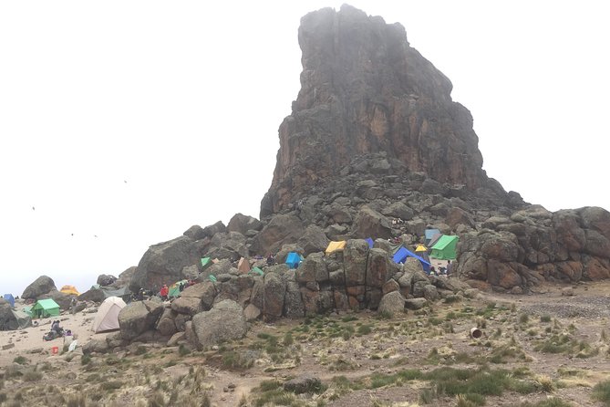 8 Days Lemosho Route - Day 3: Shira Camp 2 and the Moorland-Meets-Stream Moment