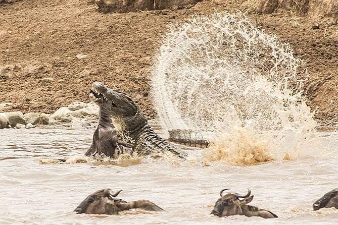 8 Days, Migrations Safari-River crossing -(July to October) - The 8-day arc: Arusha to Tarangire to the Mara, then crater and lakes