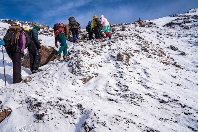 8 Days Mountain Kilimanjaro Lemosho Route - Day 8: the descent to Mweka Gate, certificates, and the ride back to Moshi