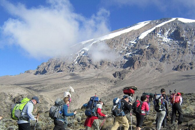 8 Days Mt Kilimanjaro Climb - Lemosho Route - Moshi setup, transfers, and what you are really buying