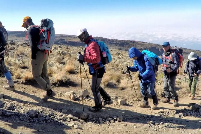 8 Days Mt Kilimanjaro Climb - Lemosho Route - Meals, camping, and the practical value of what’s included