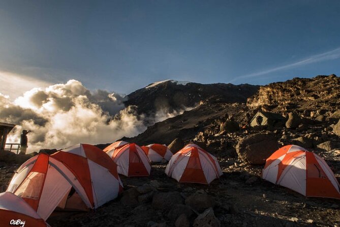 8 Days Mt Kilimanjaro Climb - Lemosho Route - Guides, planning replies, and why the human part matters