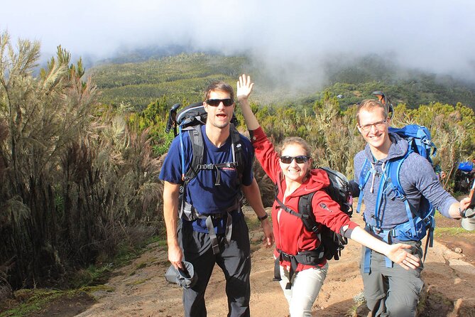 8 Days Mt Kilimanjaro Climb - Lemosho Route - Weather reality: how to think about the conditions requirement