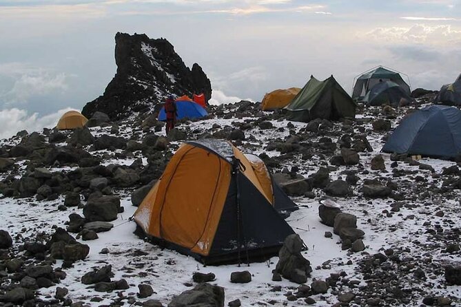 8 Days Mt Kilimanjaro Climb - Lemosho Route - Should you book KITONGA Tours for the Lemosho climb?