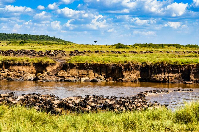 8 Days Private Safari in Serengeti Tour - Day 2 Tarangire National Park: Baobabs, Elephants, and a Real Dry-Season Edge