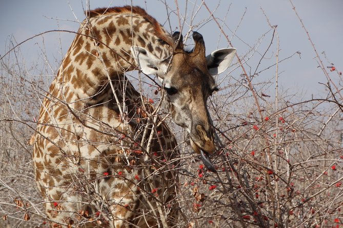 8 Days Safari to Mikumi NP, Ruaha NP and Nyerere NP + Isimila Stone Age Site - Isimila Stone Age Site: A Short Museum Start Then a Canyon Descent