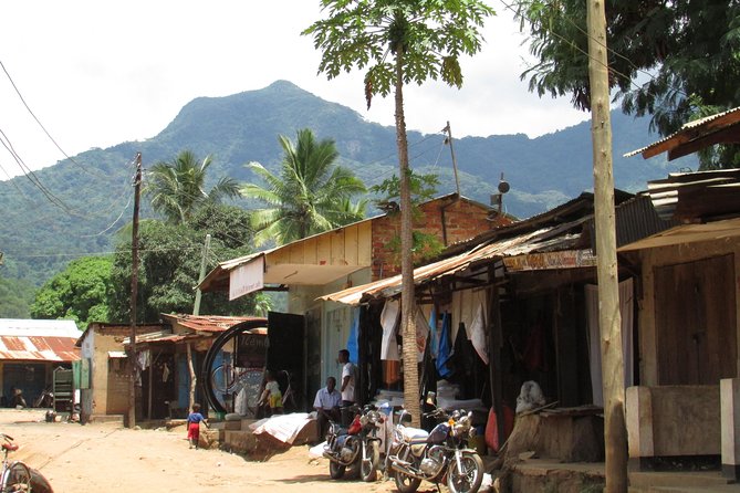 8 Days Safari to Mikumi, Ruaha & Udzungwa Mountains - Sanje Waterfalls Trek in Udzungwa: 6 to 7 Hours, Packed Lunch, Swimming Possible