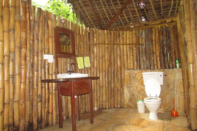 8 Days Safari to Mikumi, Ruaha & Udzungwa Mountains - Day 1-2 in Mikumi National Park: Towers, Birdlife, and Big Herds