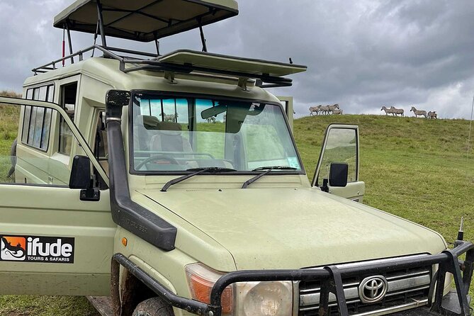 8 Days Serengeti Migration safari - Key highlights to know before you go