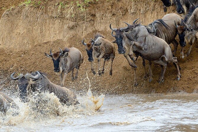 8 Days Serengeti Migration safari - Day 4 and 5: two full days chasing migration near Kogatende and the Mara River